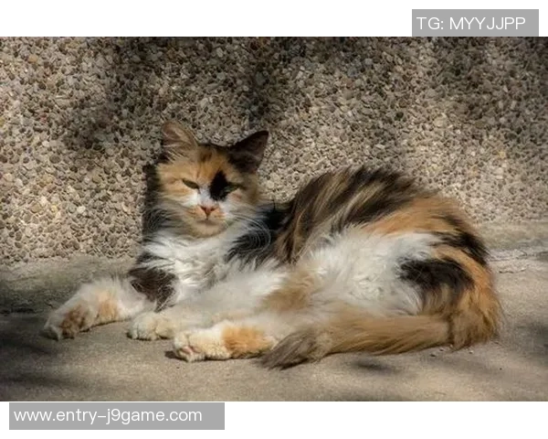 莫斯科迪纳摩与泽尼特激战正酣谁将赢得这场巅峰对决